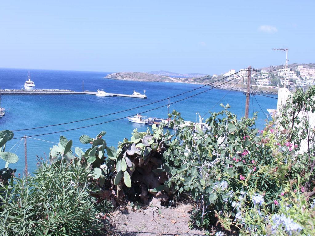 Aegean Sea View Villa Batsi  Bagian luar foto
